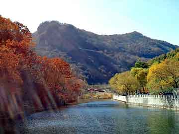 新澳天天开奖资料大全旅游团，恶心的图片